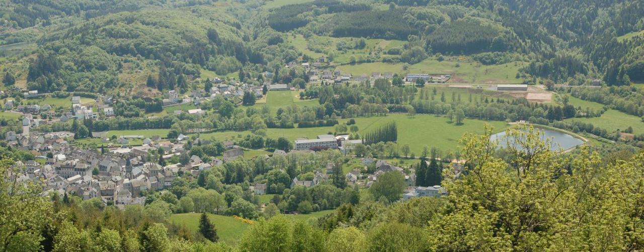 Gite Du Haut Cantal - Appartements Meubles Avec Kitchenette Et Chambres Sans Kitchenette Condat  外观 照片