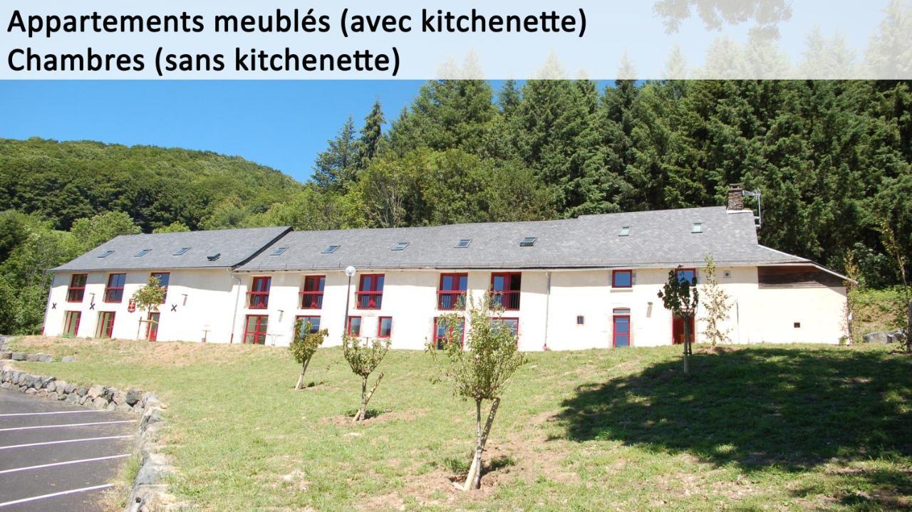 Gite Du Haut Cantal - Appartements Meubles Avec Kitchenette Et Chambres Sans Kitchenette Condat  外观 照片